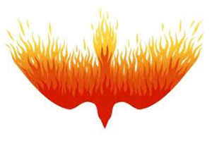 oiseau --- flammes